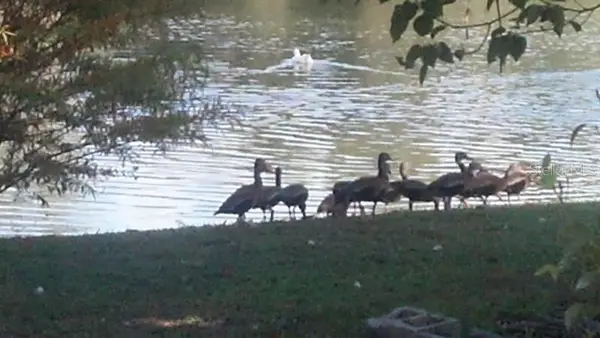 1024 - 1038 W Dixie Avenue, LEESBURG, FL 34748