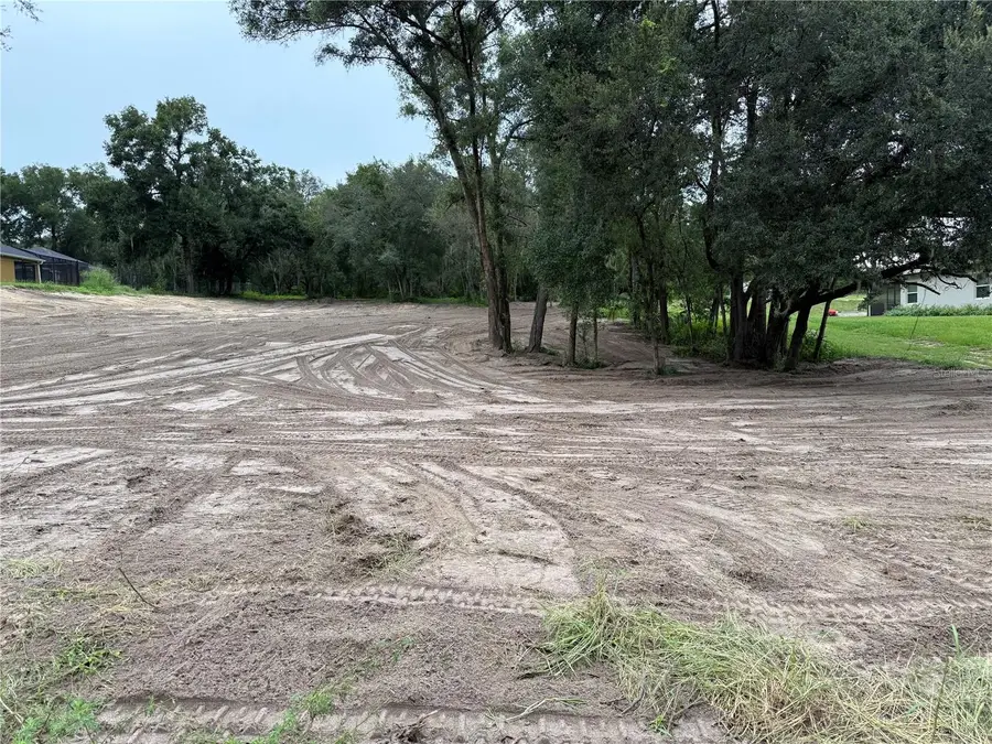 Lewis Road, Fruitland Park, FL 34731 - Image #3