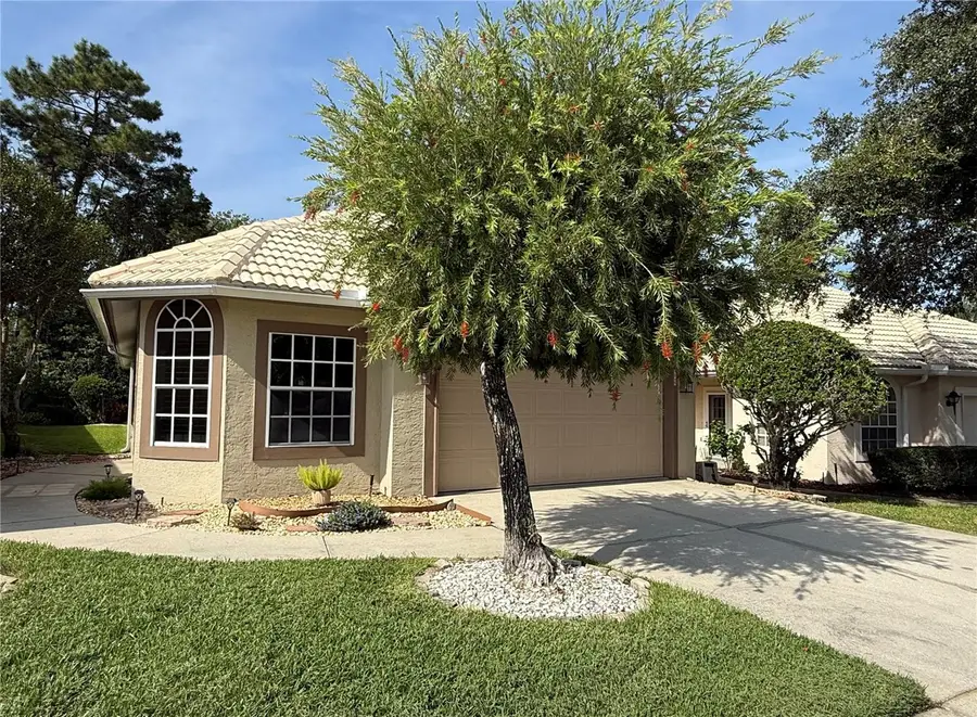 9049 Saint Andrews Way, Mount Dora, FL 32757 - Image #2