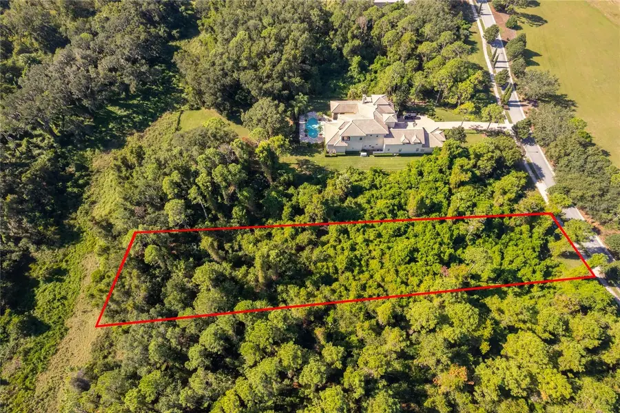 17127 Etruscan Lane, Montverde, FL 34756 - Image #3