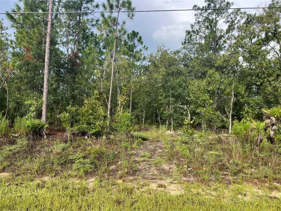 7180 N Henderson Way, Dunnellon, FL 34434 - Image #2