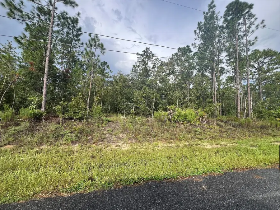 7180 N Henderson Way, Dunnellon, FL 34434 - Image #3