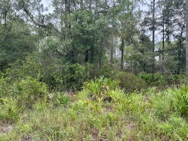 11297 W Cornflower Dr, Crystal River, FL 34428 - Image #3