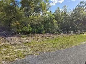 Cr 245c, Oxford, FL 34484 - Image #1