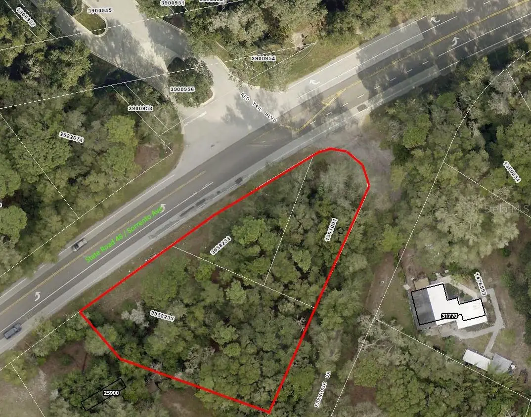 25906 Sorrento Avenue, Mount Plymouth, FL 32776 - Image #1