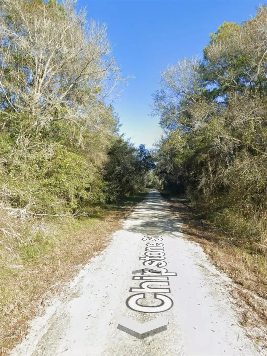 Chipstone Street, Webster, FL 33597 - Image #1