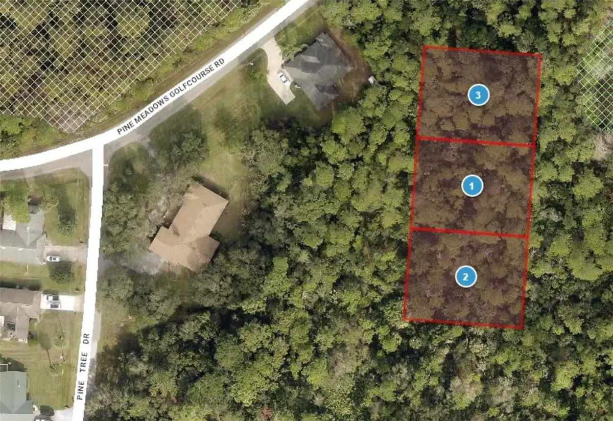 Pine Meadows Rd, Eustis, FL 32736 - Image #1