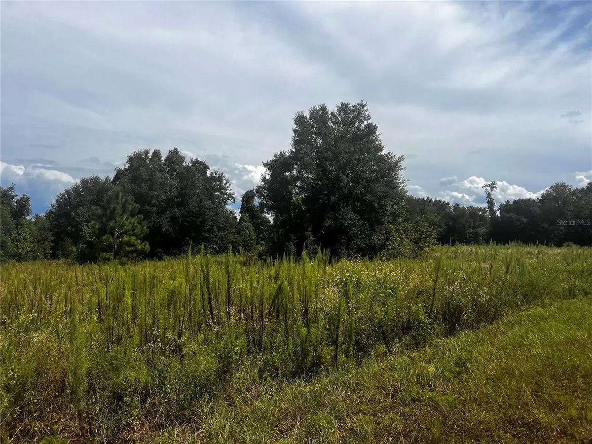 Sugarloaf Mountain Rd, Clermont, FL 34711 - Image #1