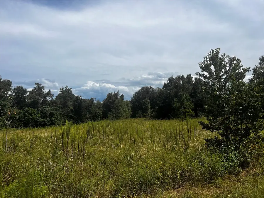 Sugarloaf Mountain Rd, Clermont, FL 34711 - Image #2