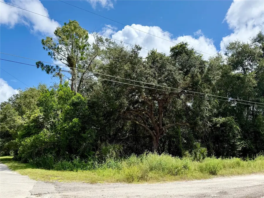 LOT 1 Palm Drive, Eustis, FL 32736 - Image #2