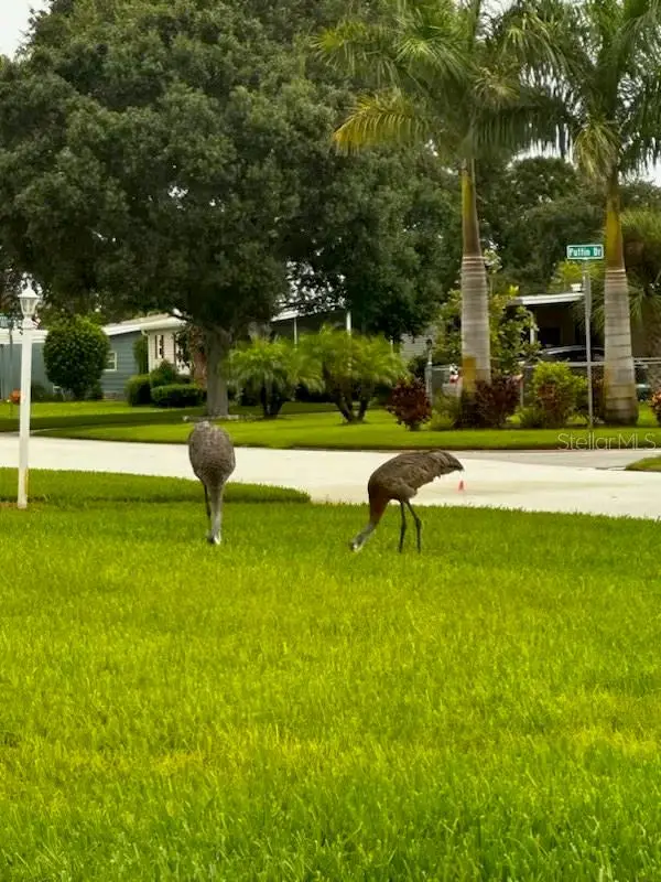 527 Egret Circle, Micco, FL 32976 - Image #2