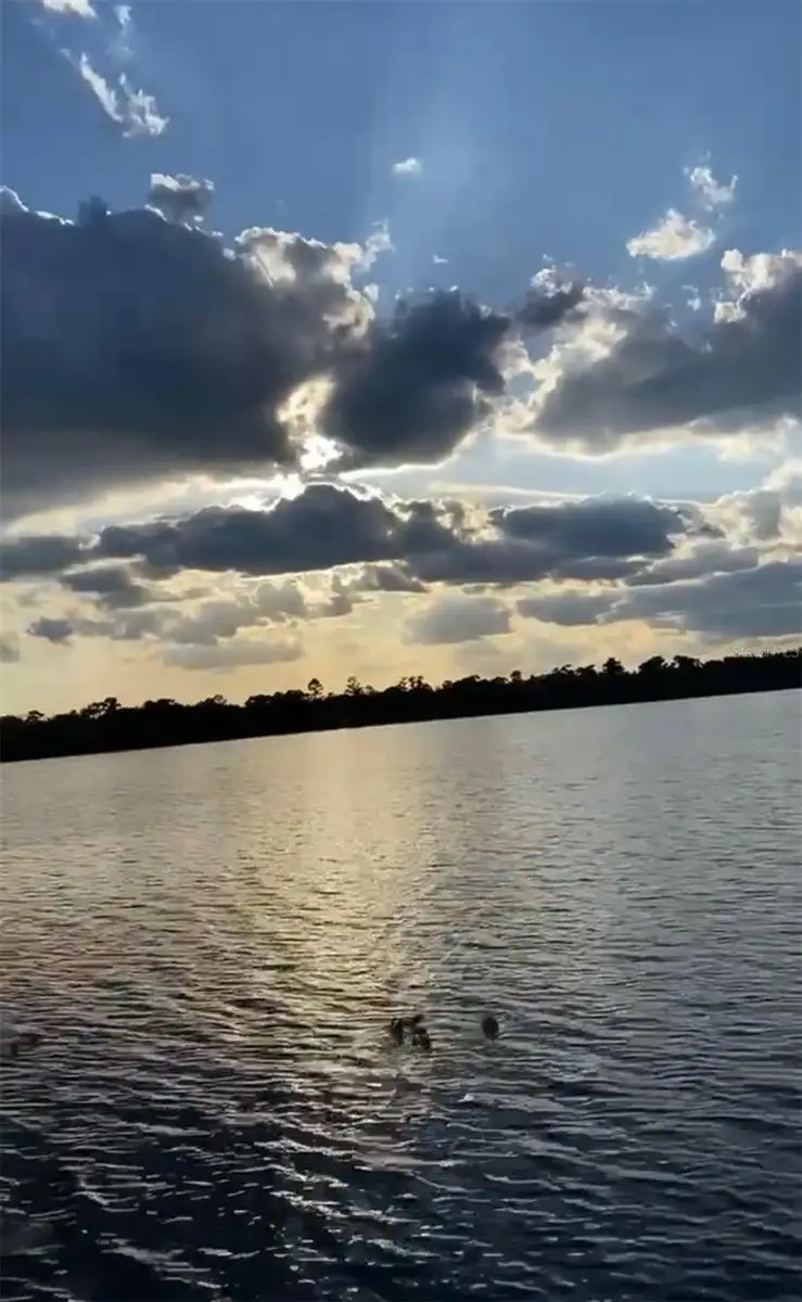 16865 SE 27th Place, Ocklawaha, FL 32179 - #2