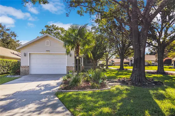 25036 Cranes Roost Circle, LEESBURG, FL 34748