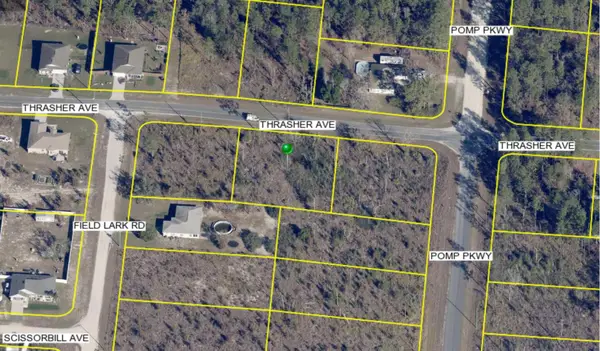 13101 Thrasher Avenue, WEEKI WACHEE, FL 34614