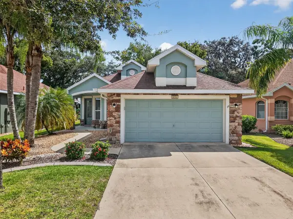 8252 Bridgeport Bay Circle, MOUNT DORA, FL 32757