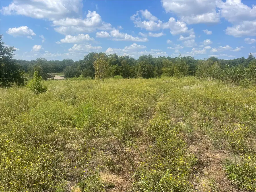 TBD Keene Road, Umatilla, FL 32784 - Image #3