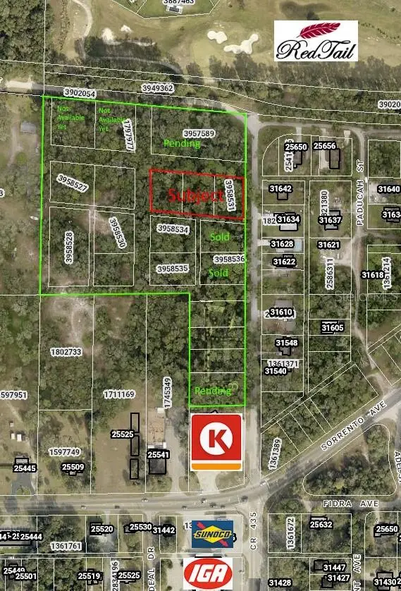 31635 Niles Street, MOUNT PLYMOUTH, FL 32776