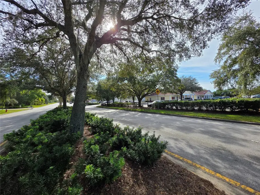 TBD Highway 42, Summerfield, FL 34491 - Image #3