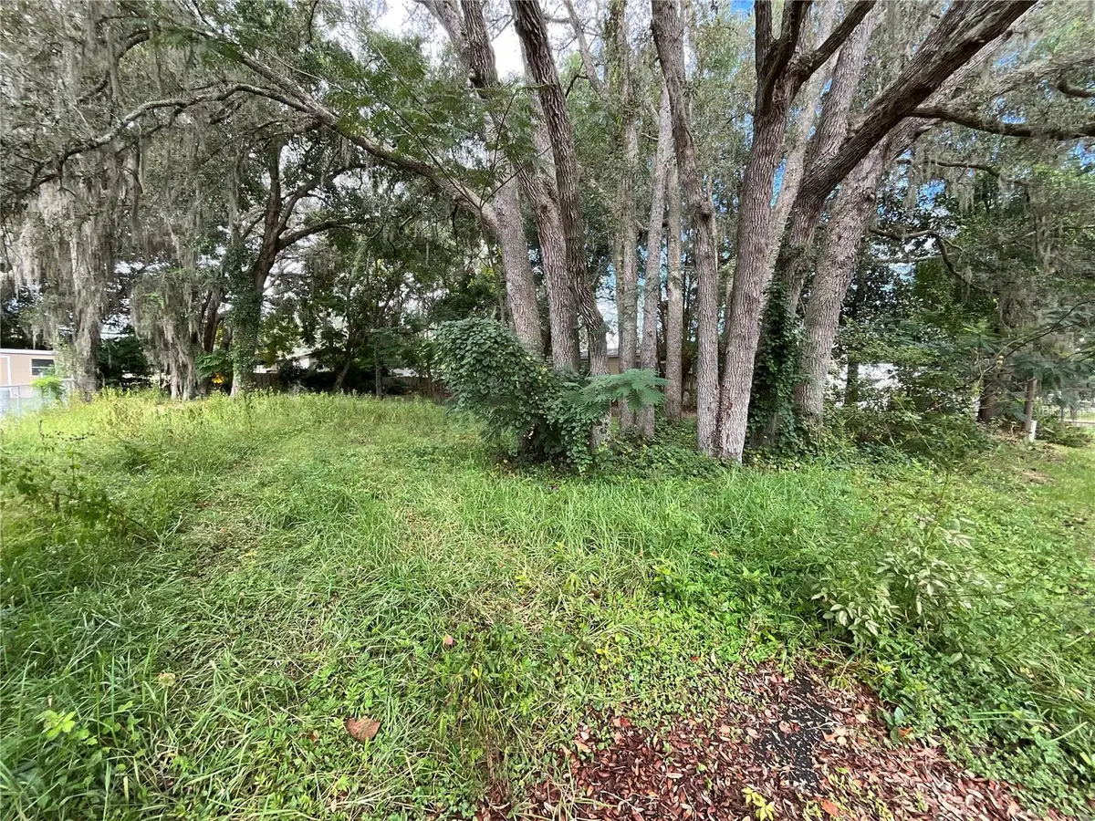 SE 99 Terrace Se, Summerfield, FL 34491 - #1