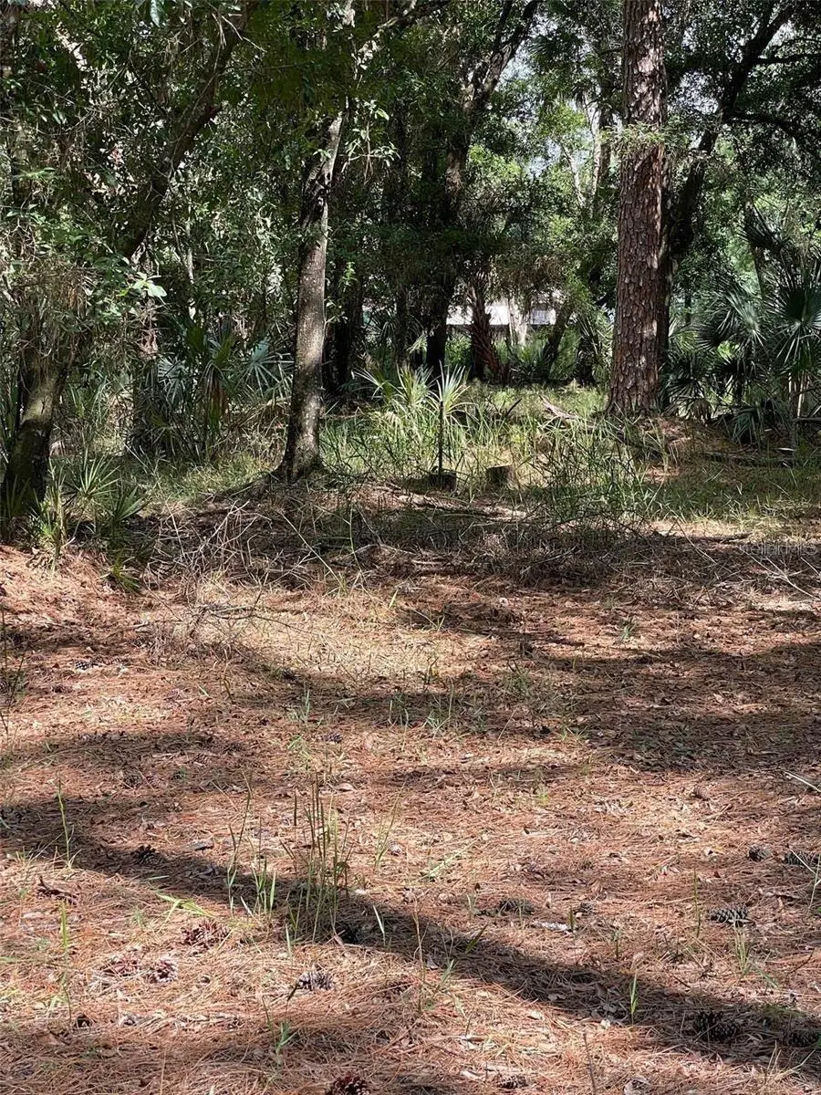 Thunderhead Street, Wesley Chapel, FL 33544 - Image #2