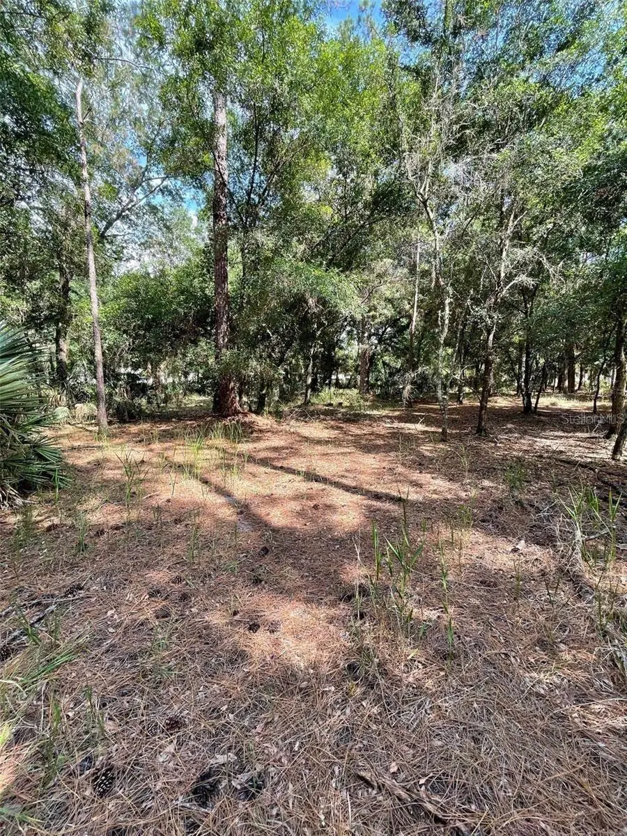 Thunderhead Street, Wesley Chapel, FL 33544 - Image #3