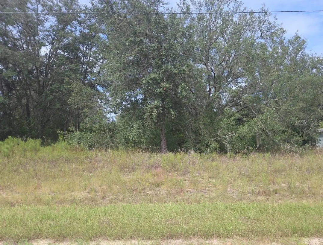 823 E Dellbrook Lane, Dunnellon, FL 34434 - Image #1