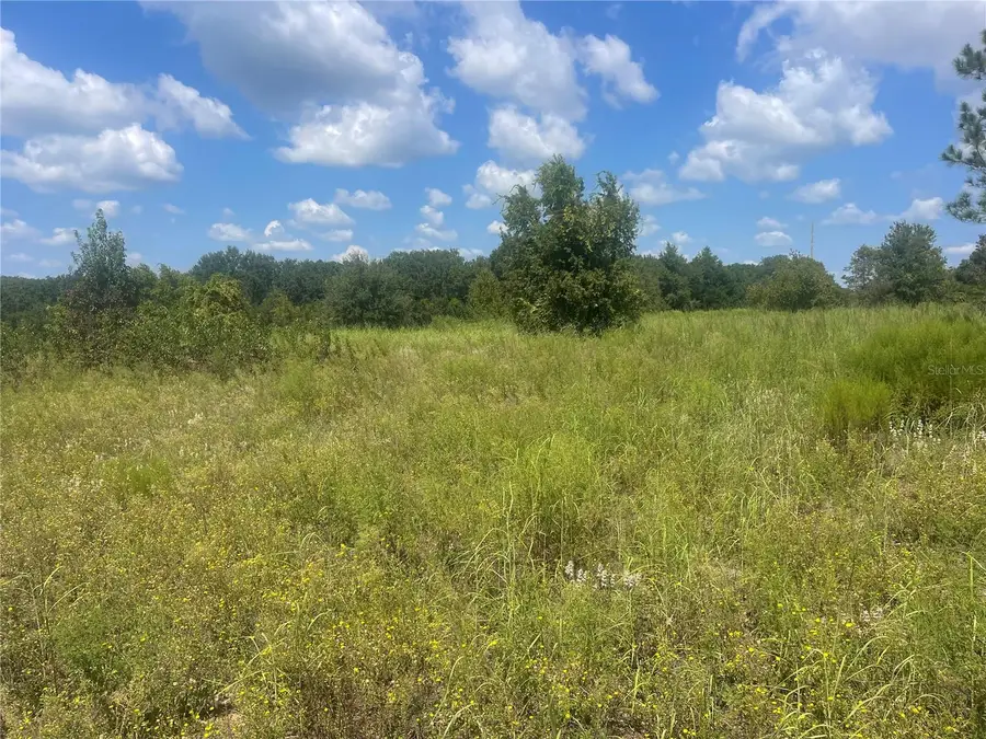 TBD Keene Road, Umatilla, FL 32784 - #3