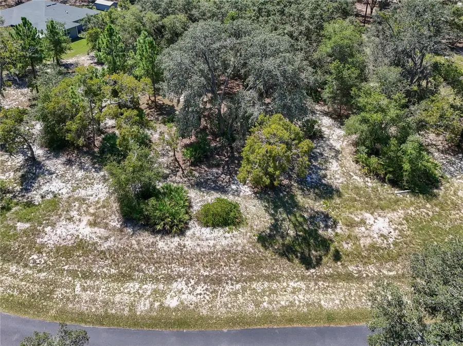 3134 Bright Lake Circle, Leesburg, FL 34748 - Image #2