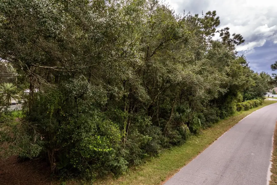 Interlachen Drive, Mount Plymouth, FL 32776 - Image #2