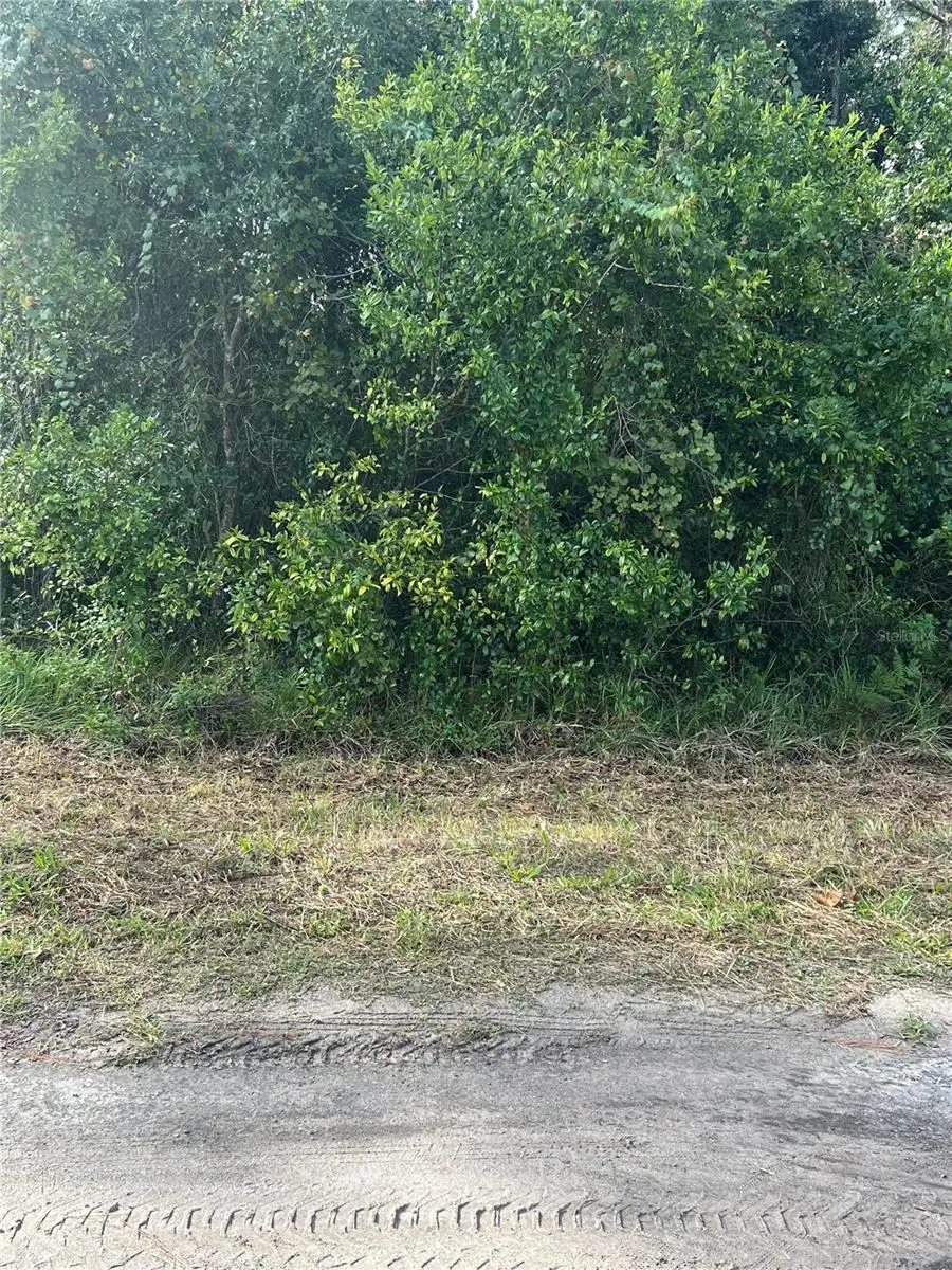 PT LTS 120-122 LK EUSTIS W Herrick Avenue, Eustis, FL 32726 - Image #1