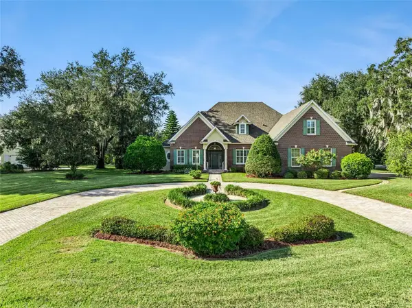 27417 Gator Point Drive, YALAHA, FL 34797