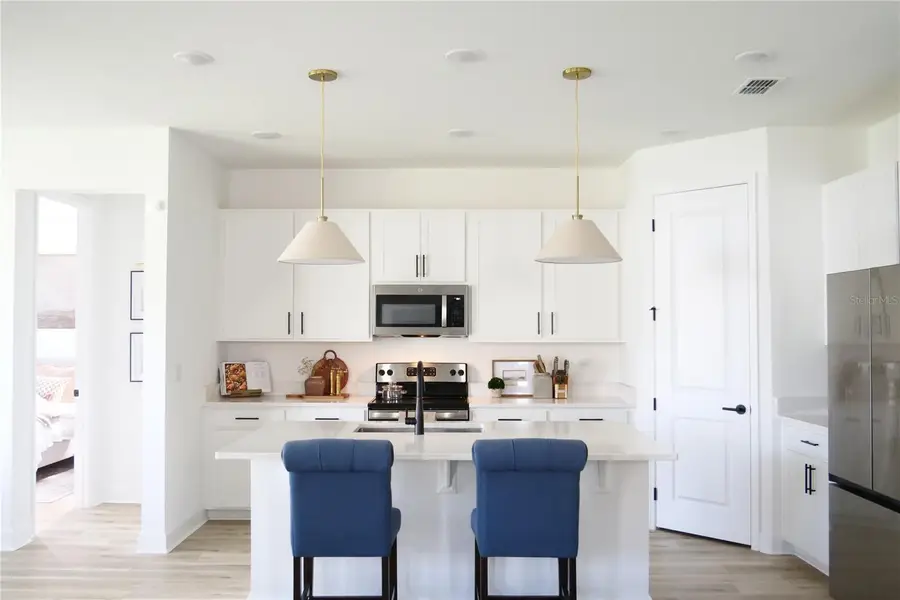 10337 Church Hammock Road, Leesburg, FL 34788 - Image #2