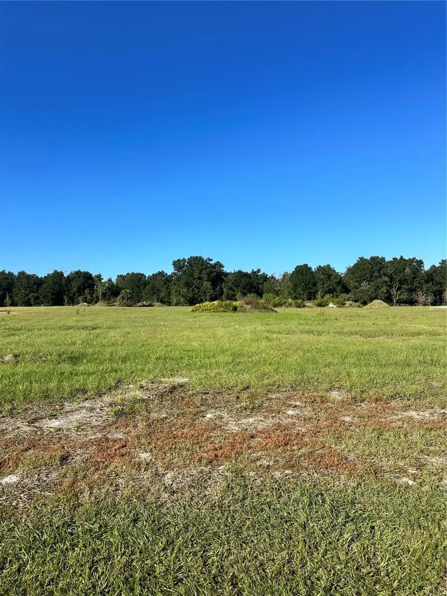 38793 Ranch Gate Boulevard, Umatilla, FL 32784 - Image #1
