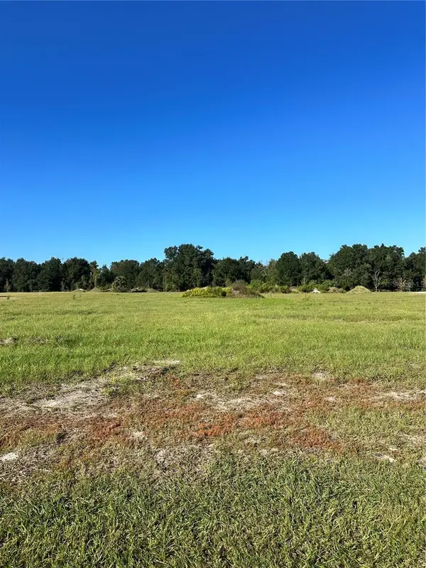 38793 Ranch Gate Boulevard, UMATILLA, FL 32784
