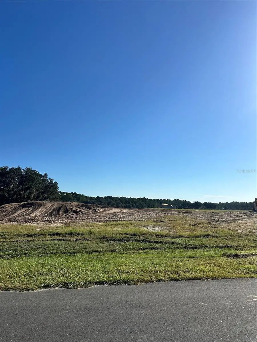 38404 Wooded Meadow Drive, Umatilla, FL 32784 - Image #1