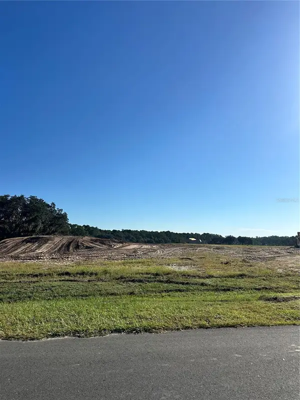 38404 Wooded Meadow Drive, UMATILLA, FL 32784