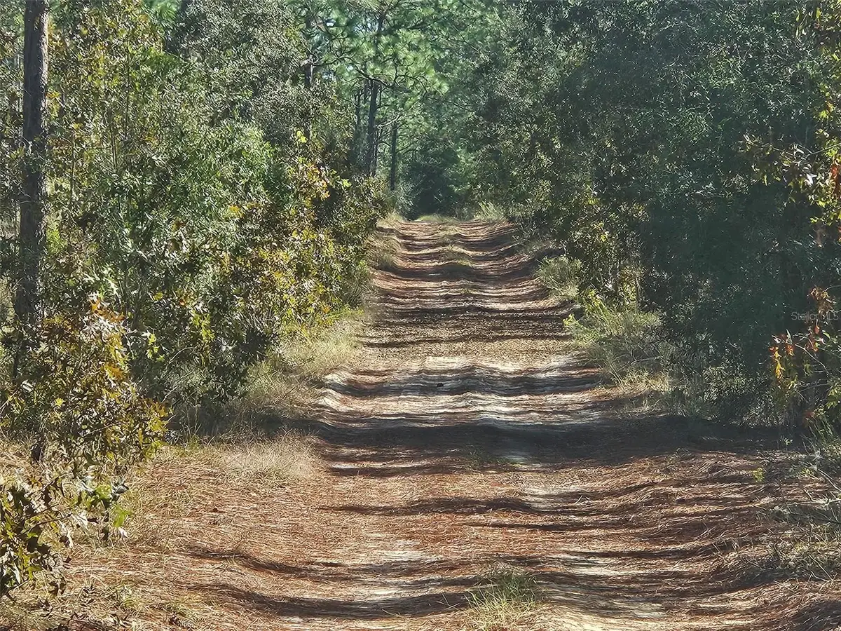 XXXX SW 92nd Place Sw, Dunnellon, FL 34432 - Image #1