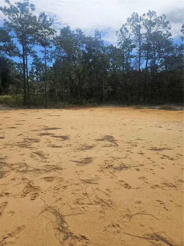 33216 Teakwood Drive, WEBSTER, FL 33597