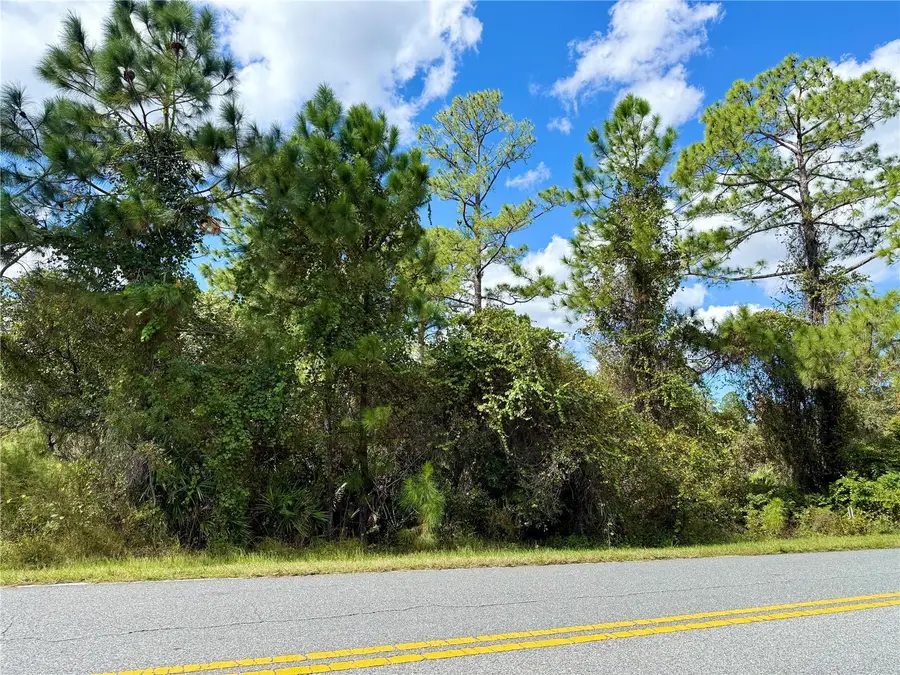 LOT 11 Royal Trails Road, Eustis, FL 32736 - Image #2