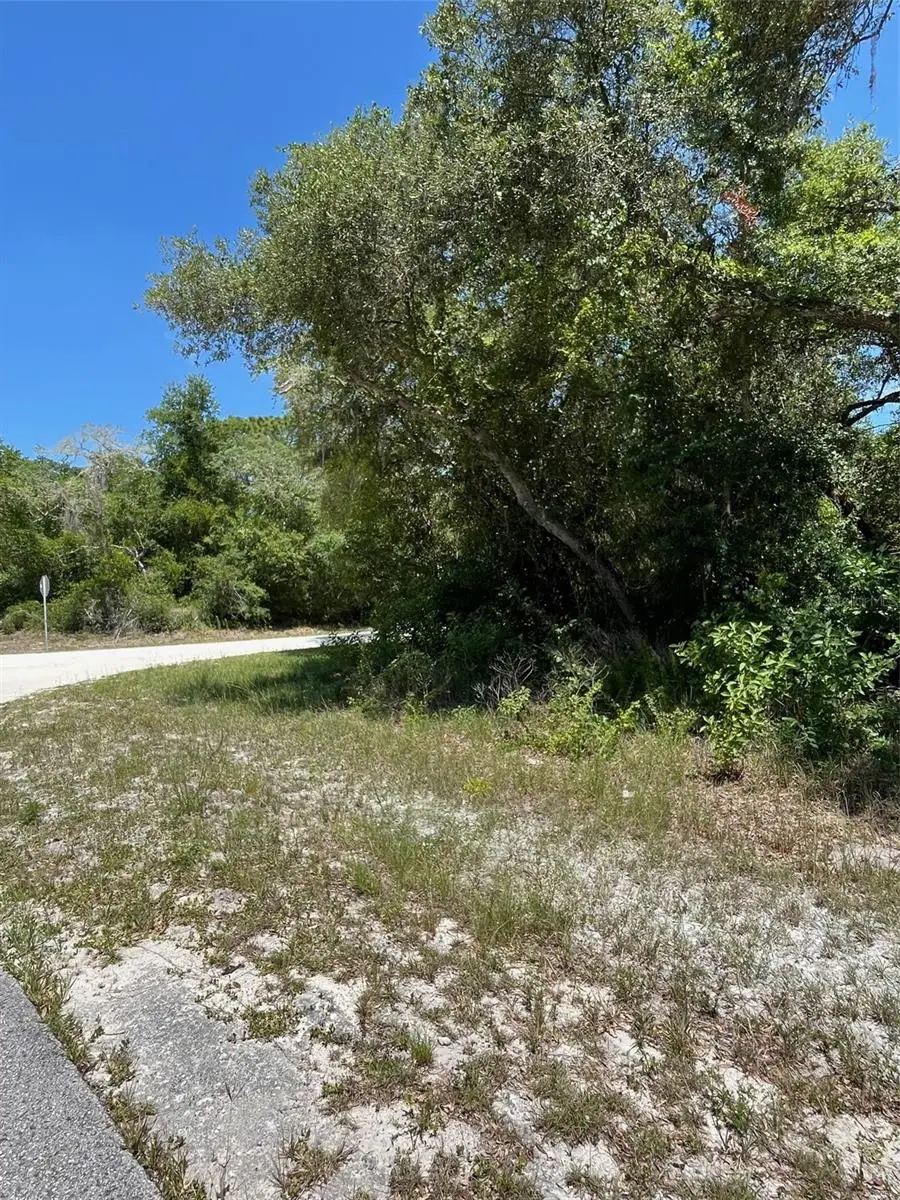 35139 Umbrella Rock, Webster, FL 33597 - Image #2