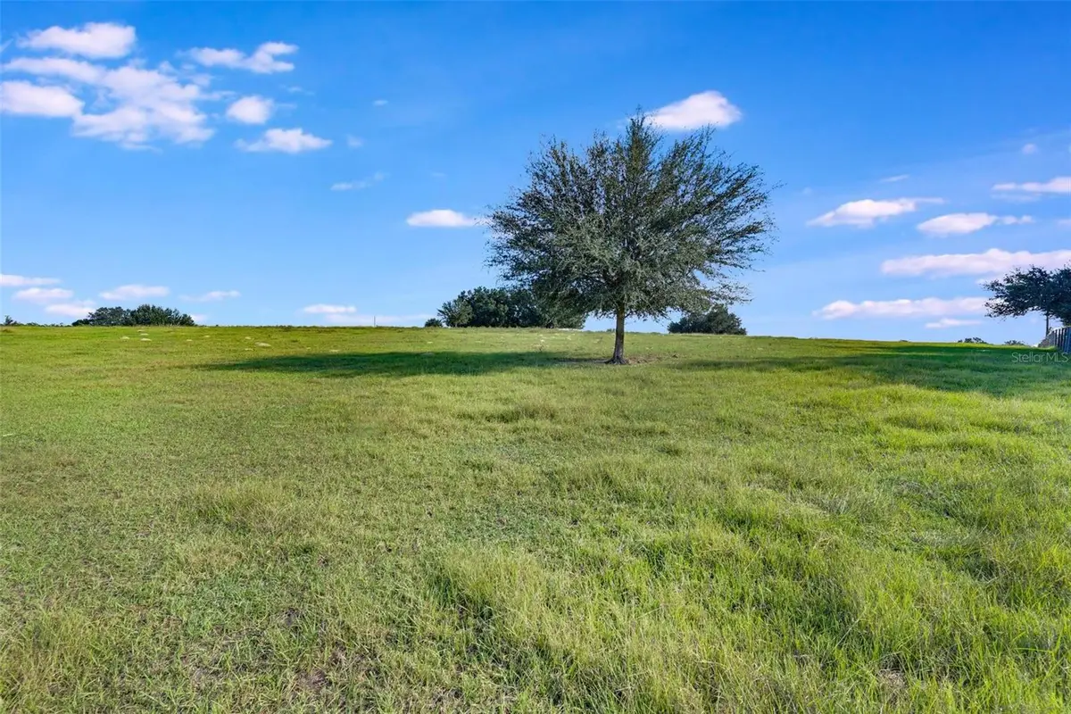 TBD SE 156th Place Road, Weirsdale, FL 32195 - Image #1