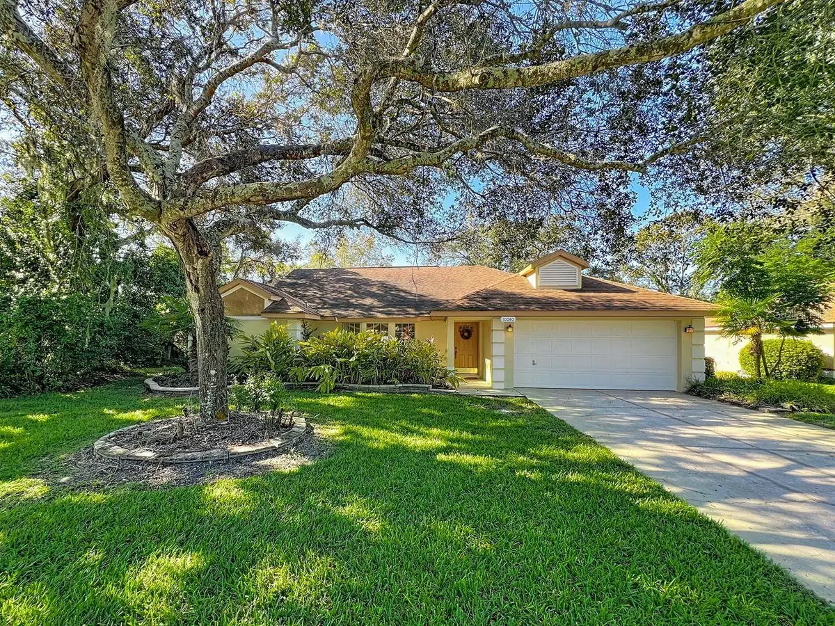 10040 Silver Bluff Drive, Leesburg, FL 34788 - #1