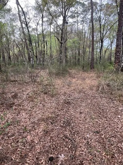 00 Packingham Drive, WEBSTER, FL 33597