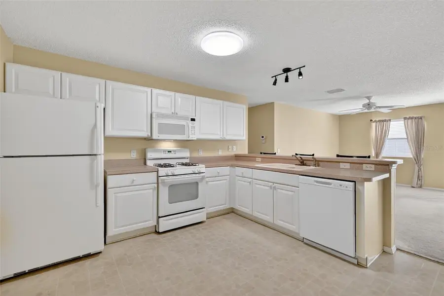 2475 Laurel Bay Lane, The Villages, FL 32162 - Image #2