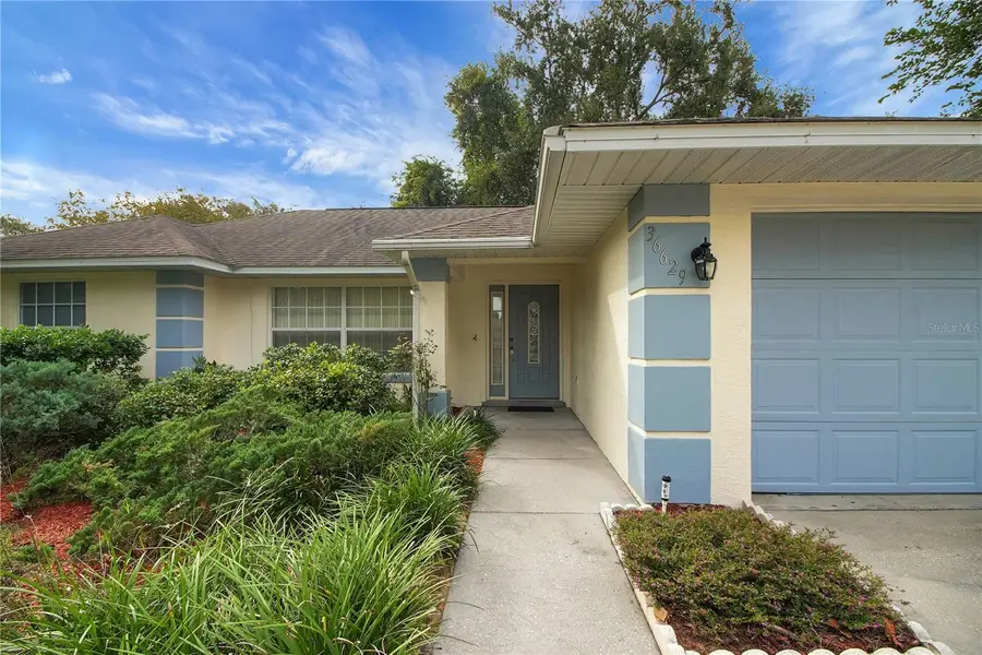 36629 Francis Drive, Grand Island, FL 32735 - Image #3