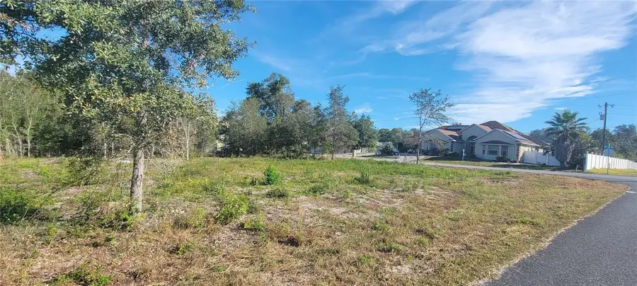 000 SE 88th Avenue, Summerfield, FL 34491 - Image #2