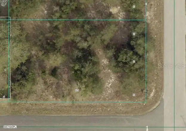000 SE 88th Avenue, Summerfield, FL 34491 - Image #3