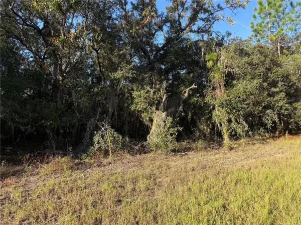 3238 N Sheriff Drive, BEVERLY HILLS, FL 34465