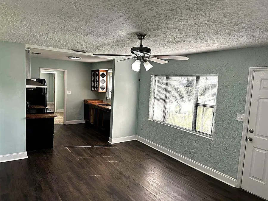 115 E Chesley Avenue, Eustis, FL 32726 - Image #3