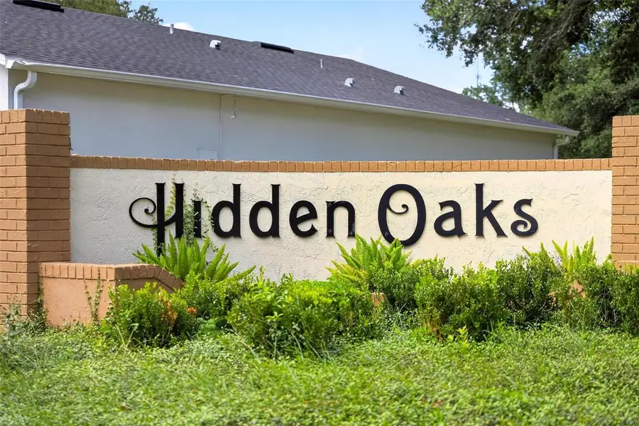 211 Hanging Moss Lane, Lady Lake, FL 32159 - #3